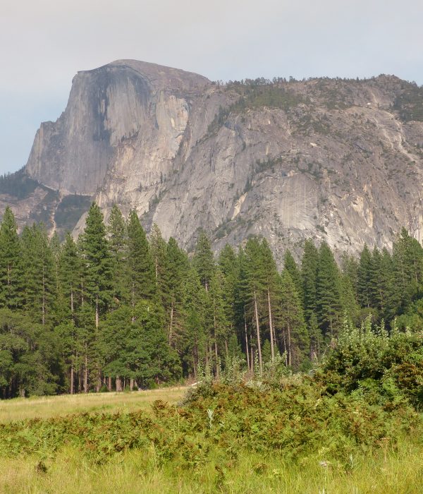 Half Dome7